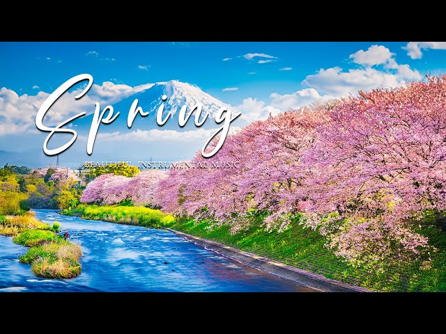 Morning Relaxing Music 2025: Beautiful Relaxing Piano for Sleep, Meditation, Study & Relax