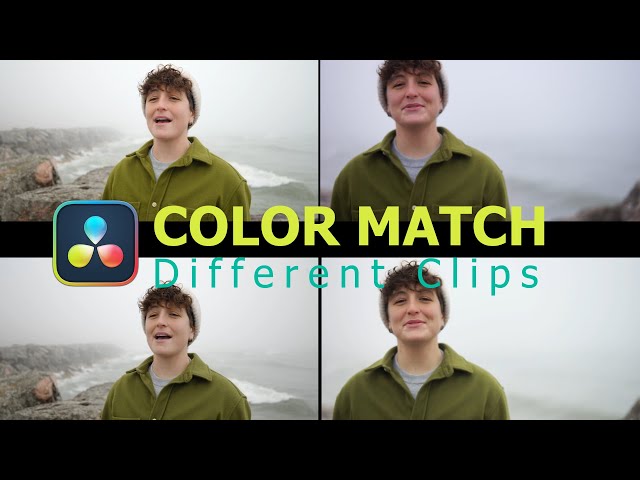 color match clips in DaVinci Resolve Tutorial