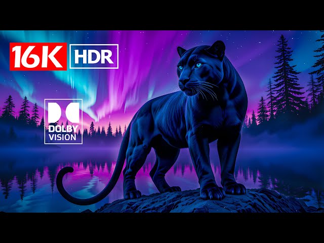 World's Best 16K Video ULTRA HD 240 FPS - Dolby Vision HDR