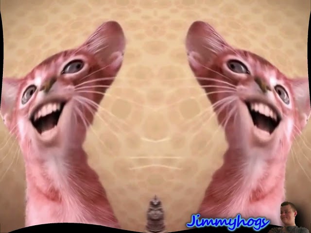 Preview 2 Numa Cat With 6 Effects Exo^3