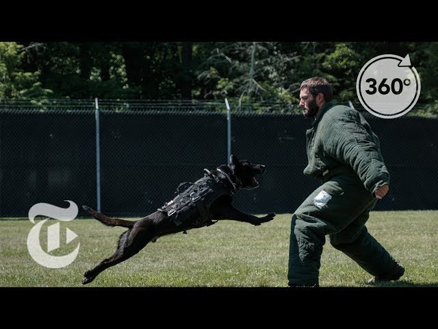 How to Become a Secret Service Agent | The Daily 360 | The New York Times