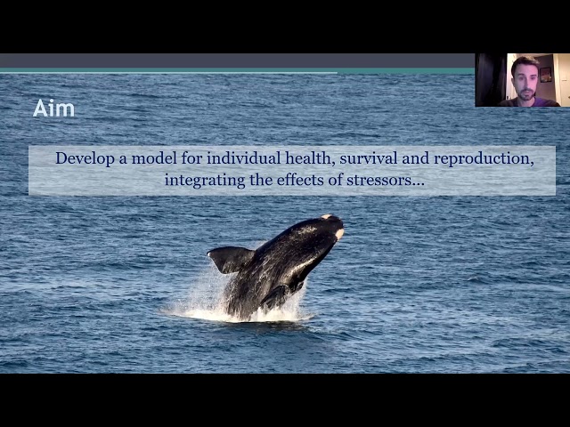 Winter 2023 - Enrico Pirotta - Developing Bayesian state-space model for whale health & vital rates