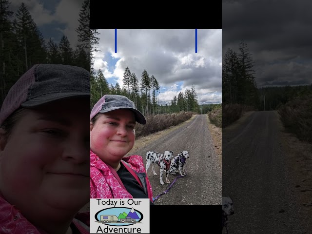 Hiking Tips From Kayla | RV Dogs #rvlife #RVdogs #makingmemories