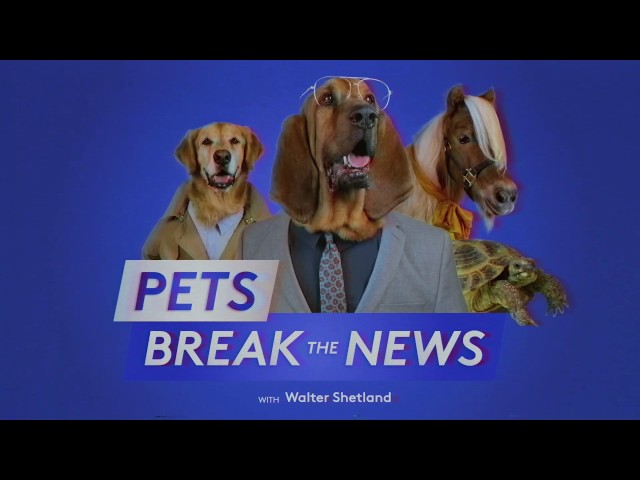 Pets Break The News – Holiday Smells