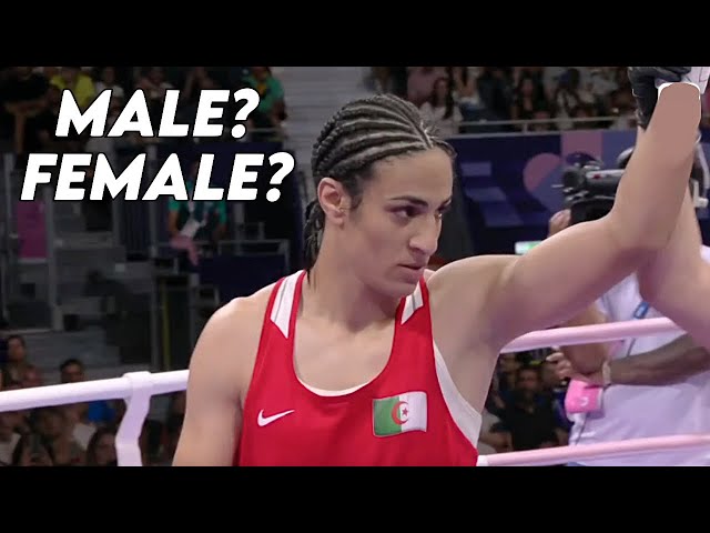 Doctor Explains Imane Khelif vs Angela Carini Olympic Boxing Controversy