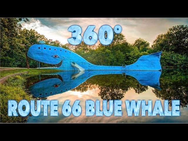 360º Route 66 Blue Whale