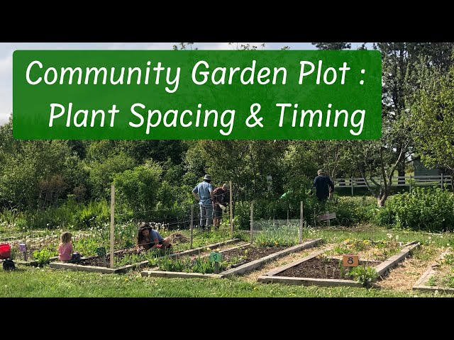 Designing Your Community Garden Plot: Essential Plot Plan Tips and Ideas