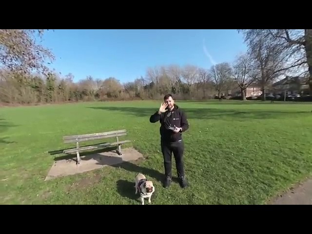 3D Camera on a Drone! In Bromley Park with Vuze XR - Use headset