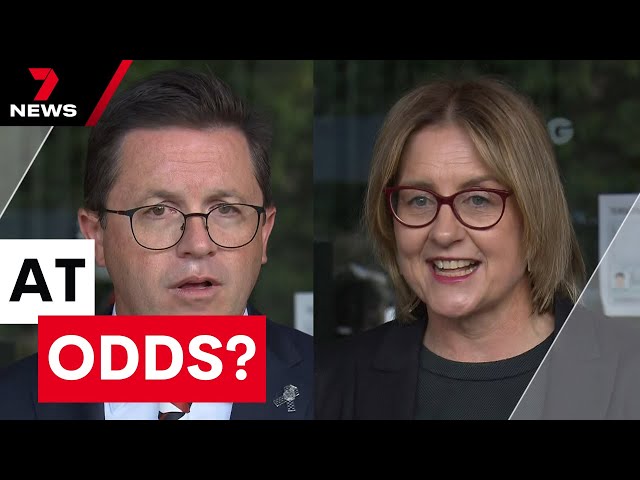 Premier's police minister pours cold water on promise to 'review' Victoria’s bail laws | 7NEWS