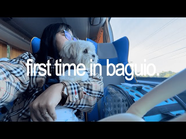 baguio trip with my dog 🐶 | pet-friendly stays, places to visit & budget guide 2025