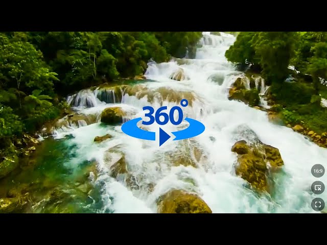 A Serene Forest Stream: Healing Sounds of Nature's Beauty | VR360 PLV