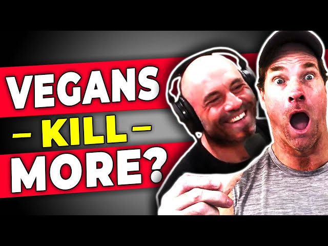 Vegan vs Carnivore: Who Kills More Animals?