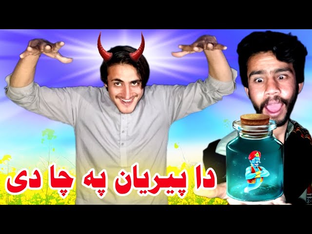 Da Peryaan Pa Cha De | Pashto Funny Video | Tuti Gull Vines | Pashto funny Drama 2025