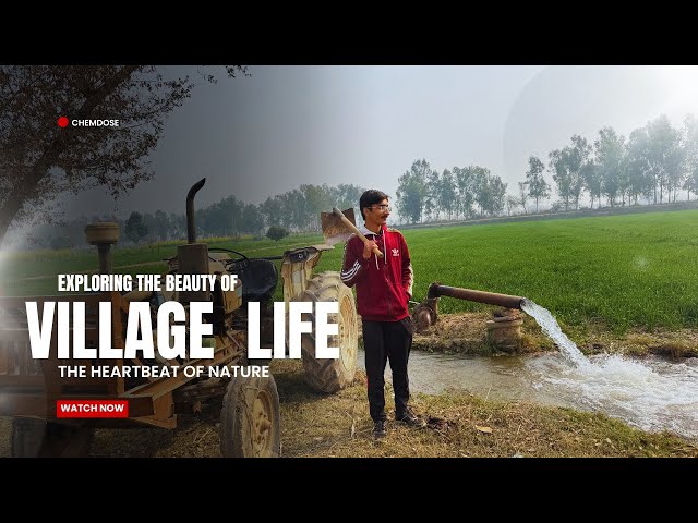 Exploring the beauty of village life | the heartbeat of nature |. #trending #viralvideo #village