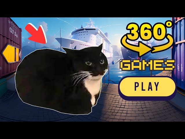 Maxwell the Cat | Finding Challenge 360° VR #2