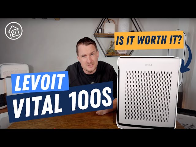 Levoit Vital 100S Review 2024 🤏 Better than Core 300s?