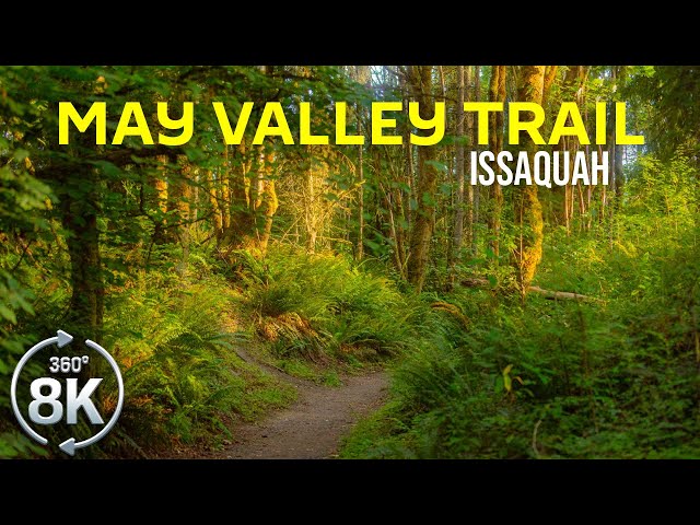 360˚ Virtual Forest Hike - Explore May Valley Loop Trail, Issaquah in 8K (with Real Nature Sounds)