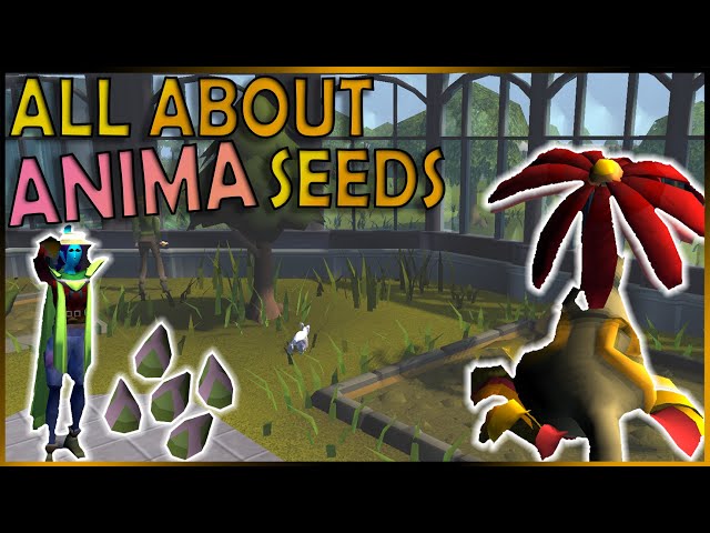 Explaining Special Seeds At The Anima Allotment In OSRS