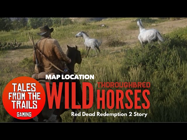 🗣 RDR2: Where to find a herd of wild Thoroughbred Horses Easy! - With Location Guide!