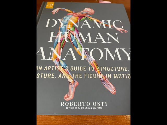 Little Known Gem - Dynamic Human Anatomy: An Artist's Guide to Structure, Gesture - Book Review