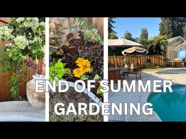 "Transforming a Dirt Pile into a Beautiful Flower Bed: Easy Gardening Tips"