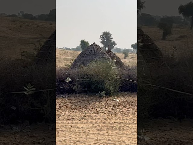 Happy  beautiful life#villagelife#village#farming#lifestyle#culture#shorts#youtubeshorts