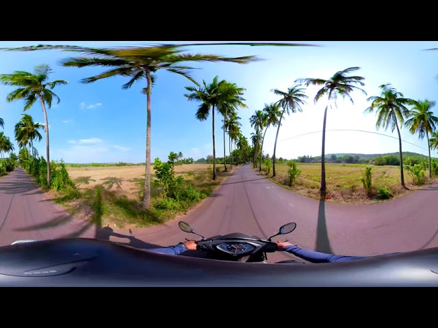 Driving through Coconut Trees | Goan Roads | 360 Degree Bike Ride