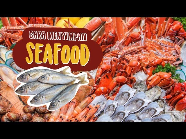 Udang Jadi Tahan Lama Dan Gak Busuk Dengan Cara Ini ! Tips Menyimpan Seafood Yang Tepat Agar Segar