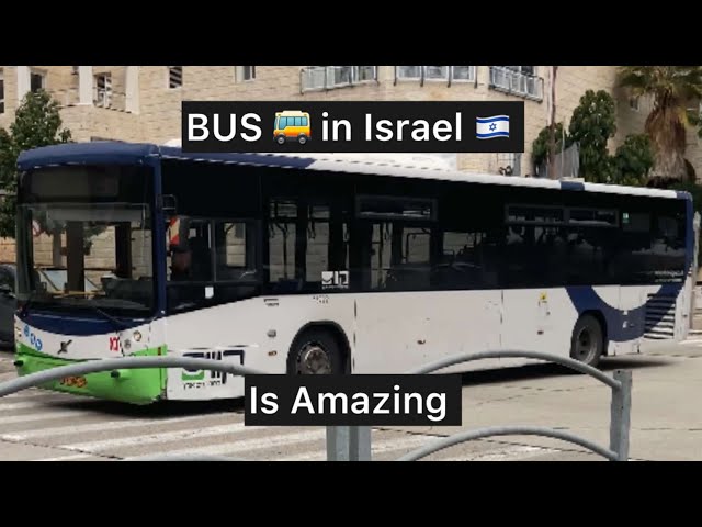 BUS IN ISRAEL IS AMAZING!