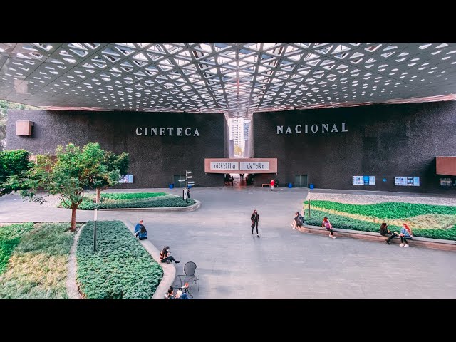 The Most Beautiful Cinema I've Ever Seen! (360/VR) 🇲🇽