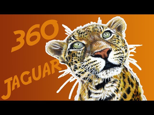 360 VR Manny Jaguar Snacks