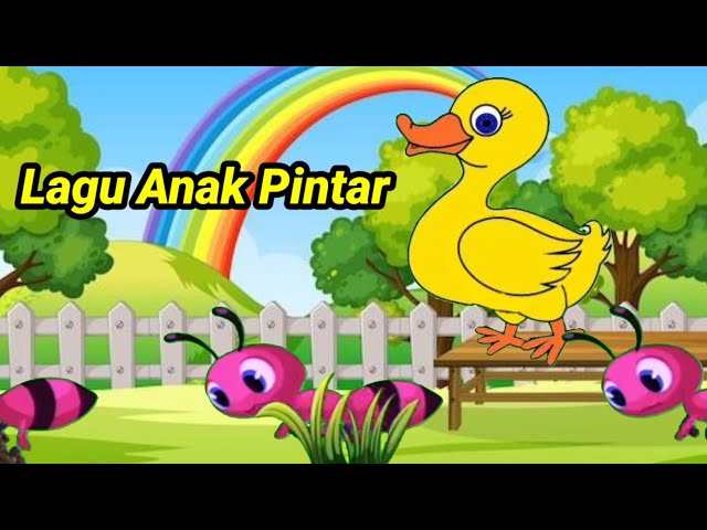 Lagu Anak Indonesia Pintar ll Si Ayam Lucu ll Ayam.Berkokok