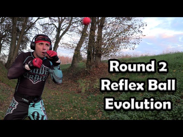 Round 2 : Reflex ball - Développer ses réflexes en boxe et son coup d'oeil. Esquives & rapidité.