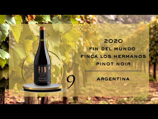 Wine #9: 2020 Fin del Mundo Finca Los Hermanos Pinot Noir