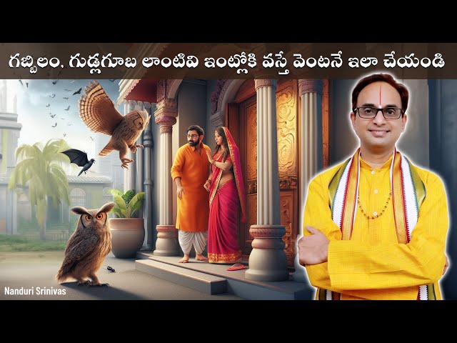 గబ్బిలం, గ్రద్ద ఇంట్లోకి వస్తే ఇలా చేయండి | When BAT enters house do this | Nanduri Srinivas