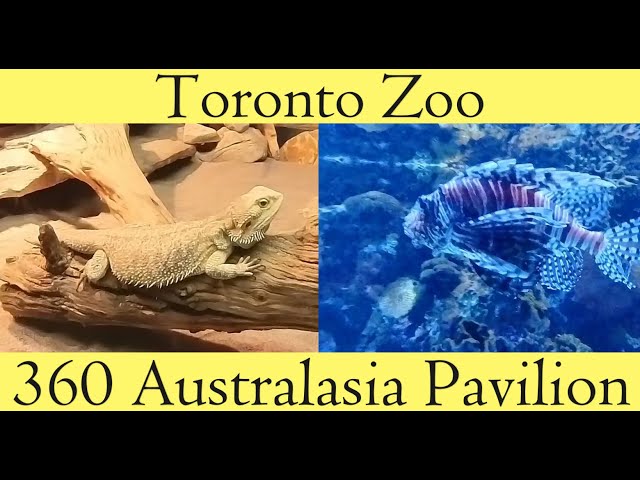 Toronto Zoo 360 Australasia Pavilion