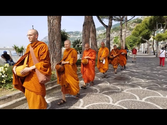 Sangha Panel: Drawbacks of Stability & Wandering in Monastic Life