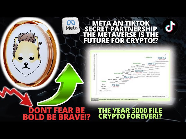 DOGELON MARS UPDATE METAVERSE IS THE WORLD FOR CRYPTO YEAR 3000 SECRET FILES?