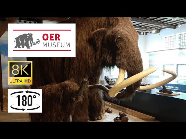 180VR 3D – Meet a woolly mammoth and its baby!