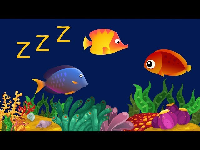 Berceuse pour Bébé Poisson Animation ♫ ❤ Bébé-dodo