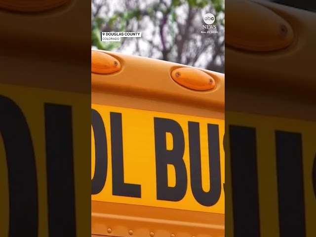 School bus driver abandons 40 kids on side of road