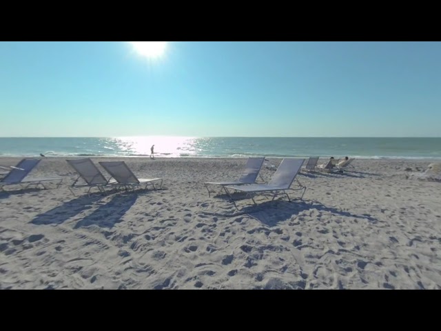 LOTS of Seashells   Sanibel Island Beach 3D 180VR