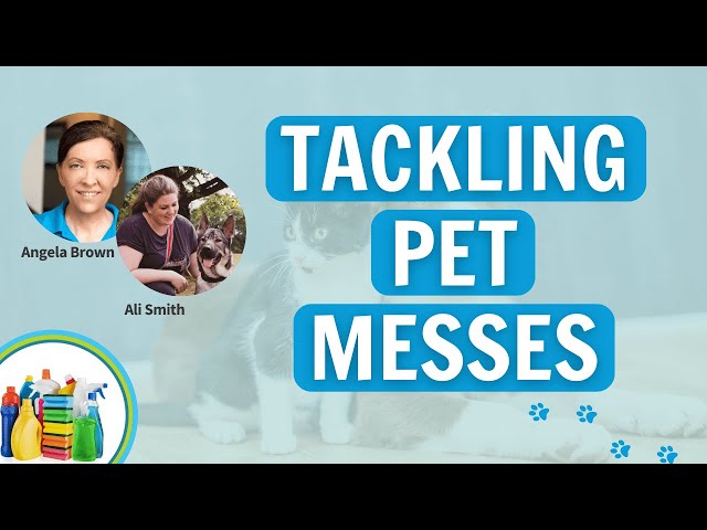 Cleaning Secrets When You Have Pets - Angela Brown with Ali Smith