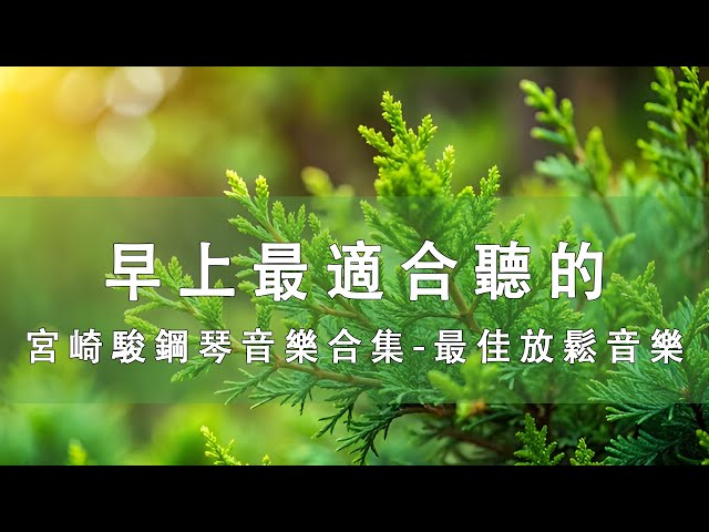 早上聽的好歌 , 清除負面能量 🎵 放鬆心靈的音樂 - 超好听的钢琴曲 - 簡單而美好🎵 世界上最好聽的純音樂！