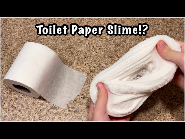 Toilet Paper Slime!? 🧻 Easy 2 Ingredient No Glue Paper Slime Recipe!!