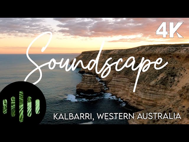 Breathtaking 1.5-Hour Nature Soundscape for Calm Vibes | Kalbarri Red Cliffs & Ocean Sounds