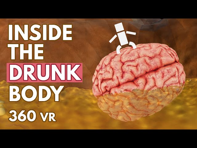 What Happens Inside Your Drunk Body? - VR 360°