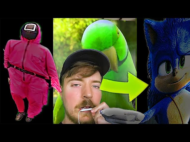 $1,000,000 Influencer Tournament!/MrBeast2021 #shorts