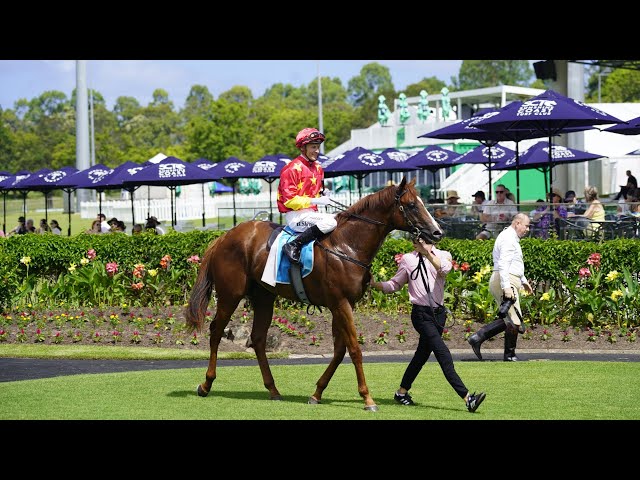 Magic Millions race meeting moved to Sunshine Coast