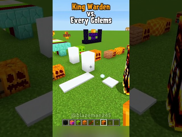 Minecraft King Warden vs Every Golem 💀 (Sigma Boy) #shorts